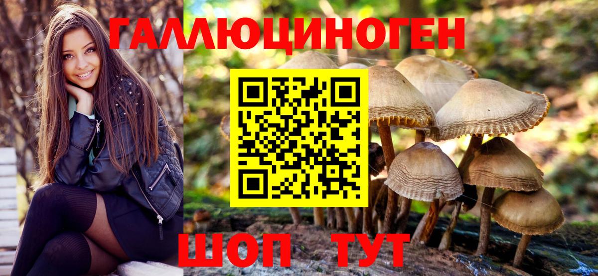 Галлюциногенные грибы Magic Shrooms  Вход с VPN  Псилоцибиновые грибы Psilocybine cubensis  Углич 